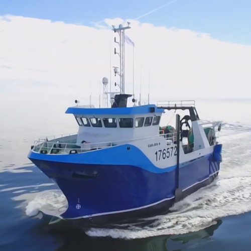 Navires-usine